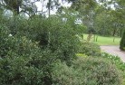 Ridgelandsresidential-landscaping-35.jpg; ?>