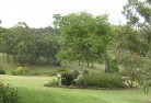 Ridgelandsresidential-landscaping-40.jpg; ?>